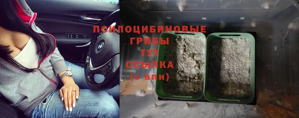 таблы Алзамай